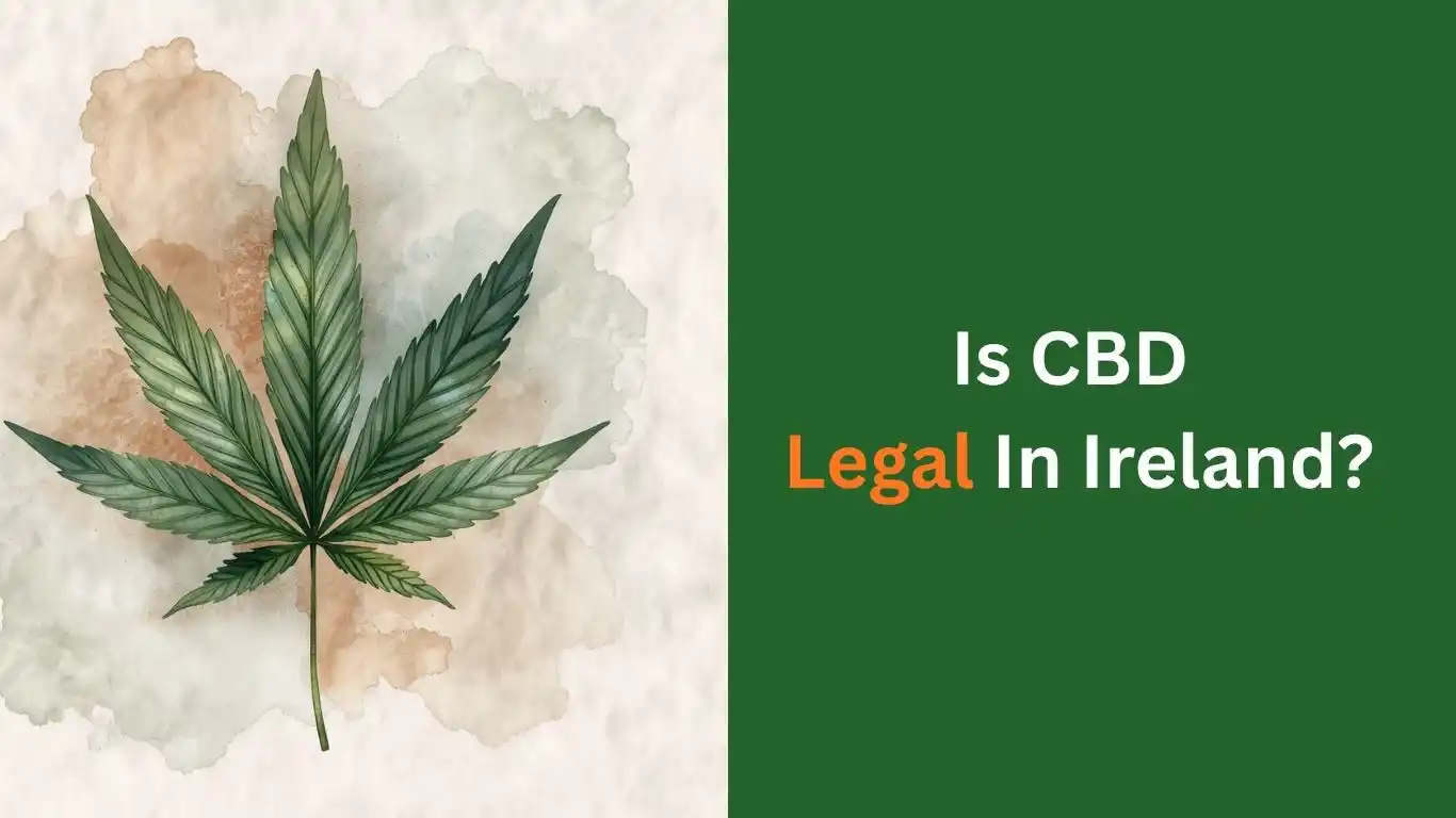 Is CBD Legal in Ireland?